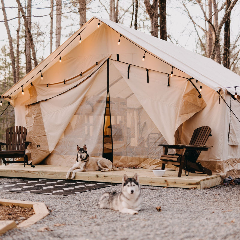 Load image into Gallery viewer, Alpha Wall Tent
