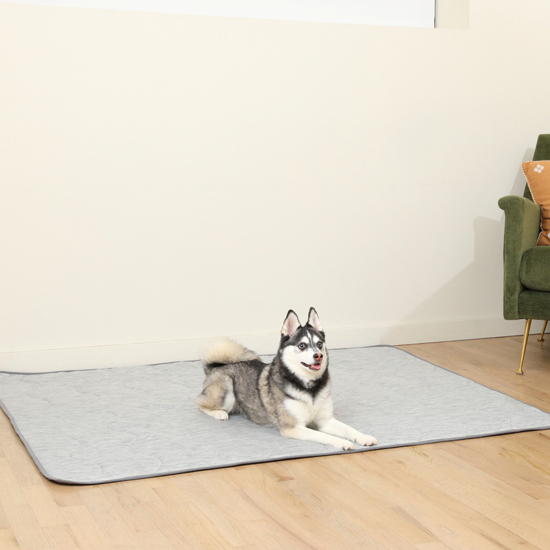 Load image into Gallery viewer, PupChill™ Cooling Waterproof Blanket - Arctic Grey
