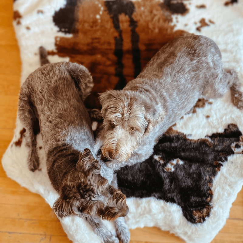 Load image into Gallery viewer, PupRug® Animal Print Memory Foam Dog Bed - Brown Faux Cowhide
