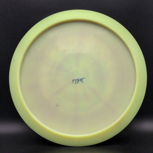 Swirly Star Leopard3 - Lisa Fajkus 2020 TS - X-Out Double Stamp