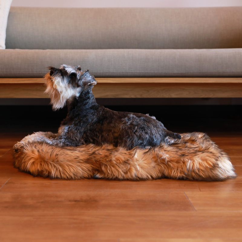 Load image into Gallery viewer, PupRug by Paw.com® Faux Fur Orthopedic Dog Bed - Curve Sable Tan
