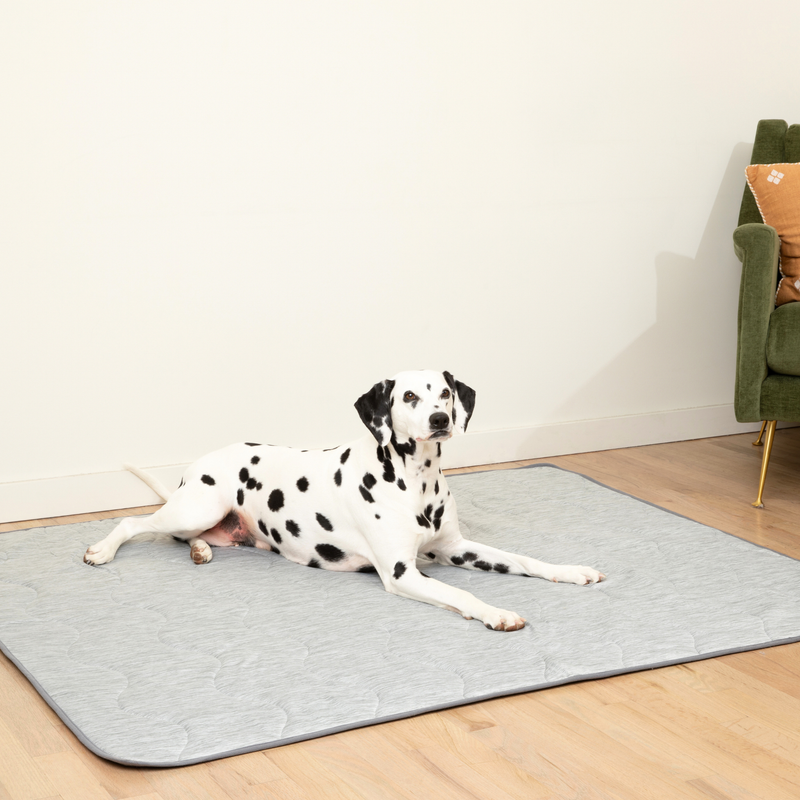 Load image into Gallery viewer, PupChill™ Cooling Waterproof Blanket - Arctic Grey
