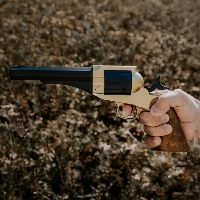 Load image into Gallery viewer, 1858 CO2 Pistol Kit - Black &amp; Gold
