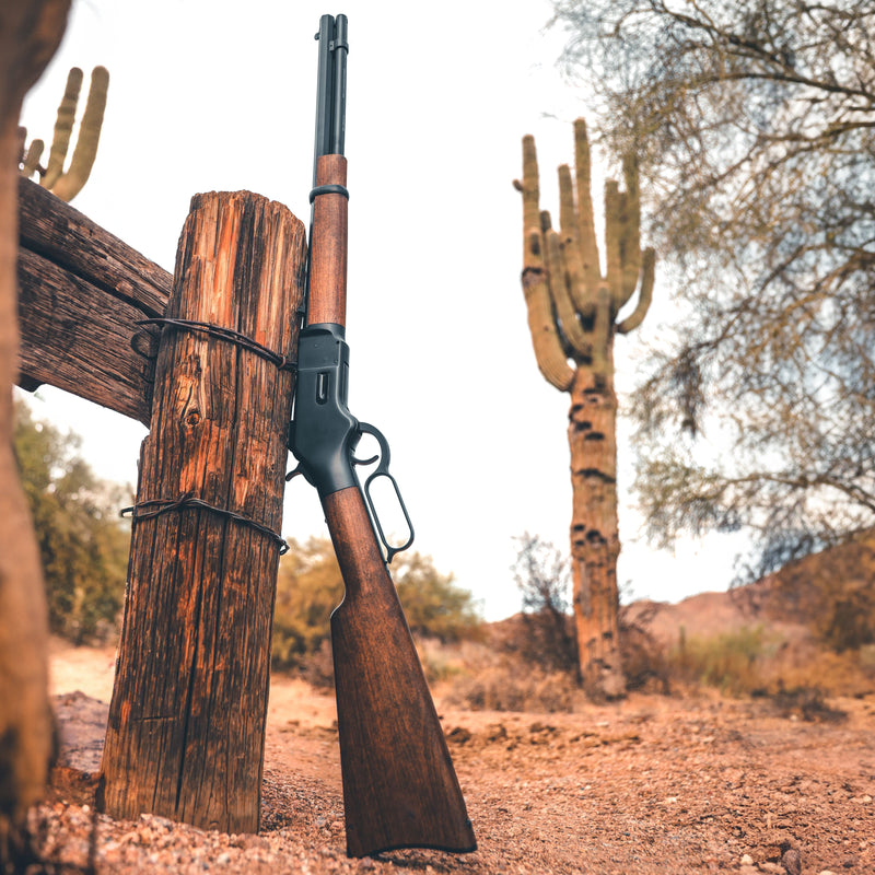 Load image into Gallery viewer, 1866 CO2 .177 - Black
