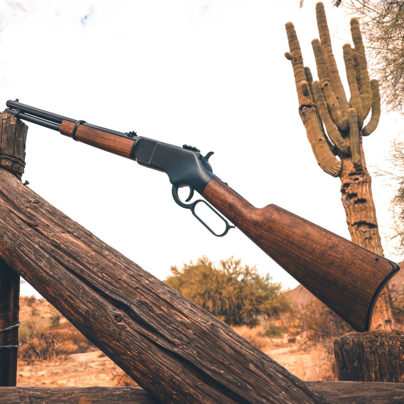 Load image into Gallery viewer, 1866 CO2 .177 - Black
