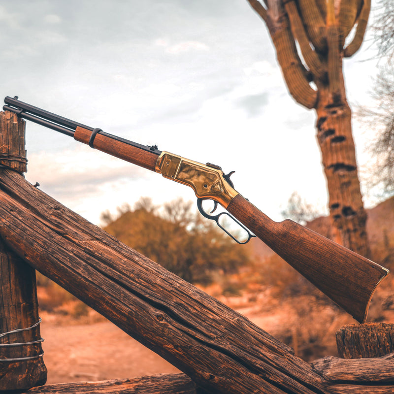 Load image into Gallery viewer, 1866 CO2 .177 - Gold
