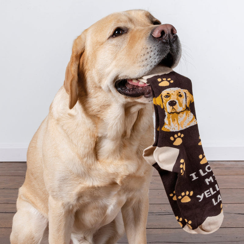 Load image into Gallery viewer, I Love My Yellow Lab
