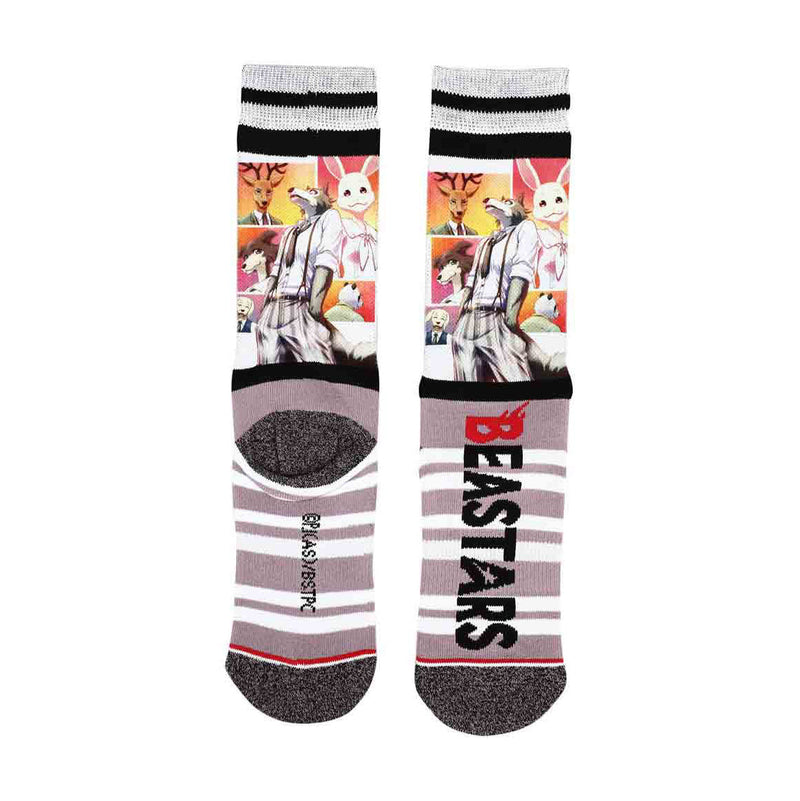 Load image into Gallery viewer, Beastars Character Sublimated
