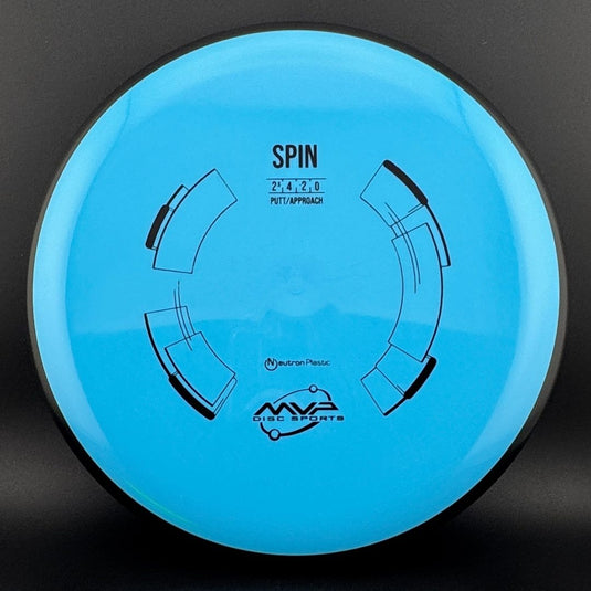 Neutron Spin