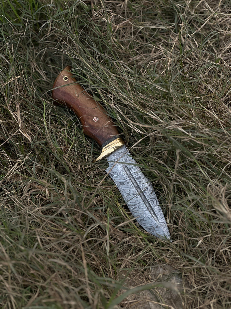 Load image into Gallery viewer, Hunting Blade – 10" Damascus Steel Knife with Rosewood Handle, Brass Guard &amp; Leather Sheath
