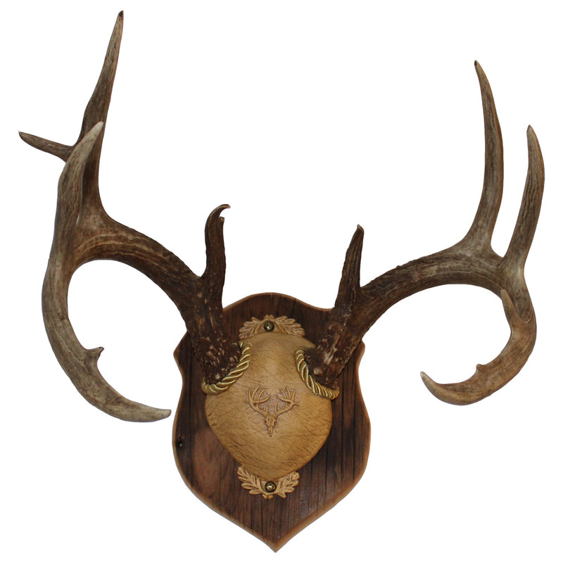 Load image into Gallery viewer, Antler Plaques
