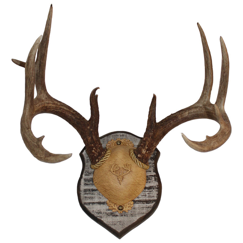 Load image into Gallery viewer, Antler Plaques
