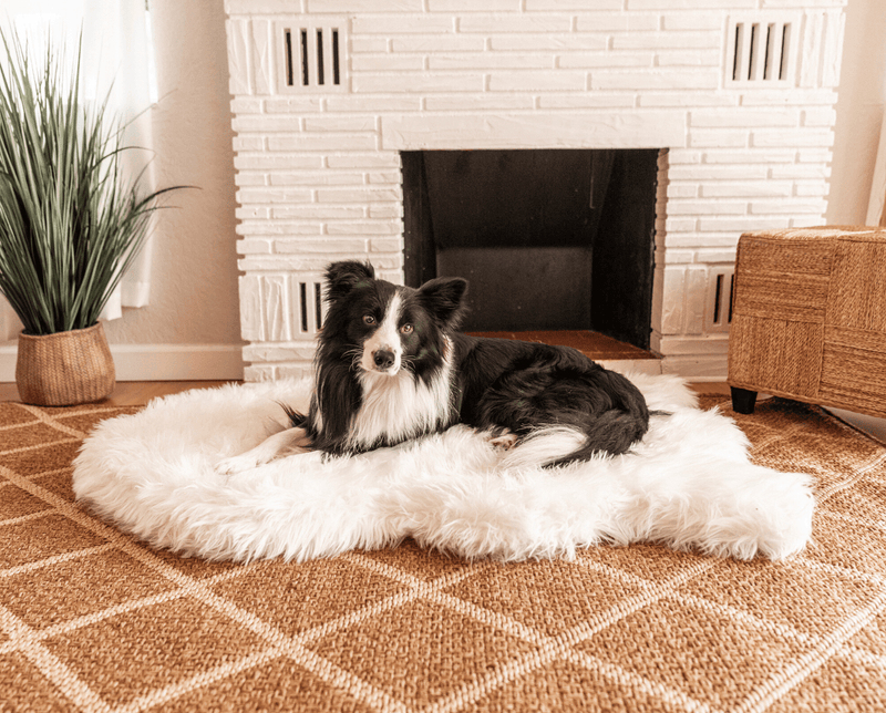 Load image into Gallery viewer, PupRug by Paw.com® Faux Fur Orthopedic Dog Bed - Curve Polar White
