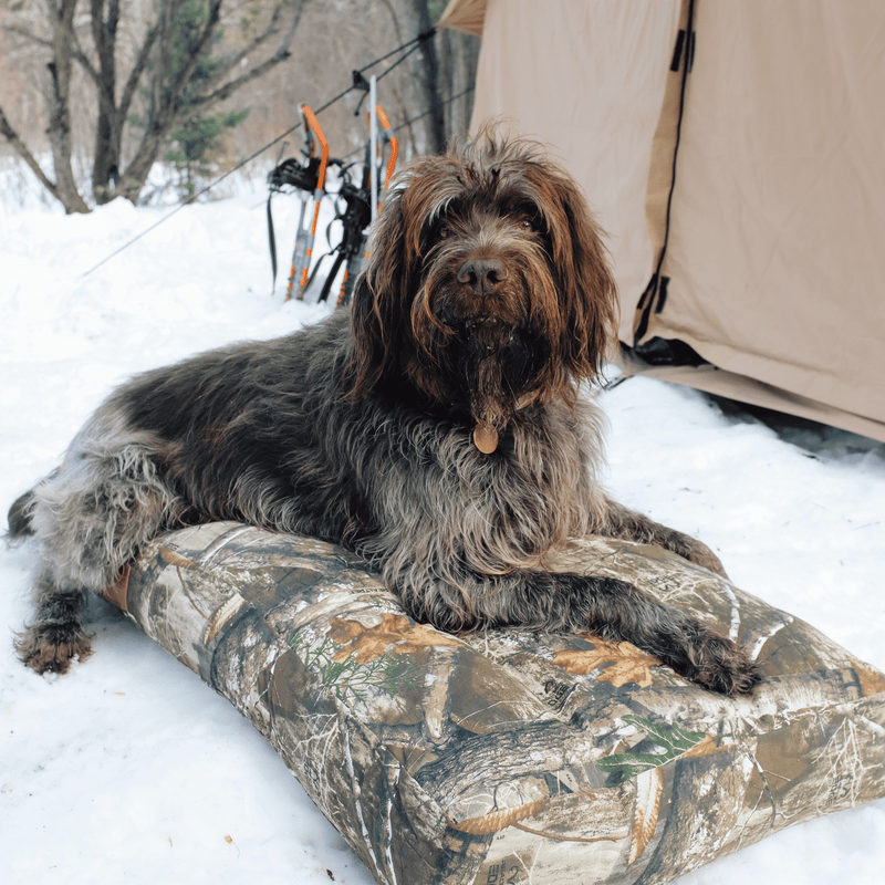 Load image into Gallery viewer, Dog Bed
