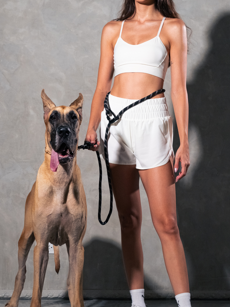 Load image into Gallery viewer, Blackout Running Hands-Free Dog Leash
