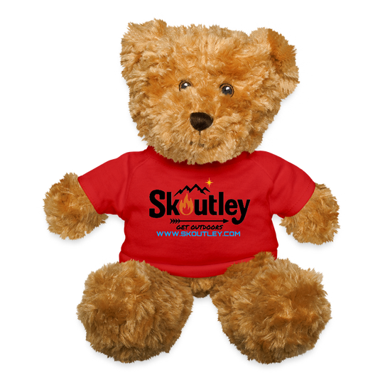 Plush Teddy Bear - red