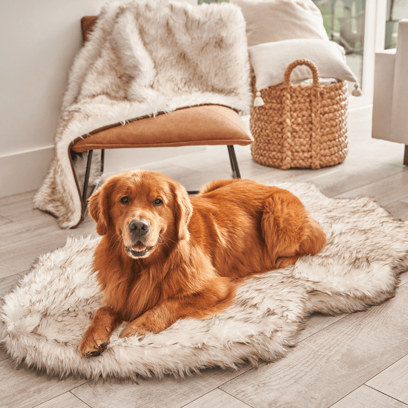 Load image into Gallery viewer, PupRug by Paw.com® Faux Fur Orthopedic Dog Bed - Curve White with Brown Accents
