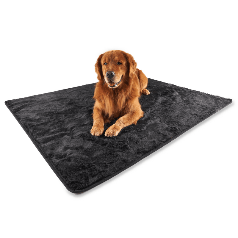 Load image into Gallery viewer, PupProtector™ Summer Short Fur Waterproof Throw Blanket - Midnight Black
