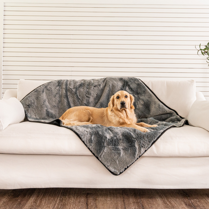 Load image into Gallery viewer, PupProtector™ Summer Short Fur Waterproof Throw Blanket - Charcoal Grey
