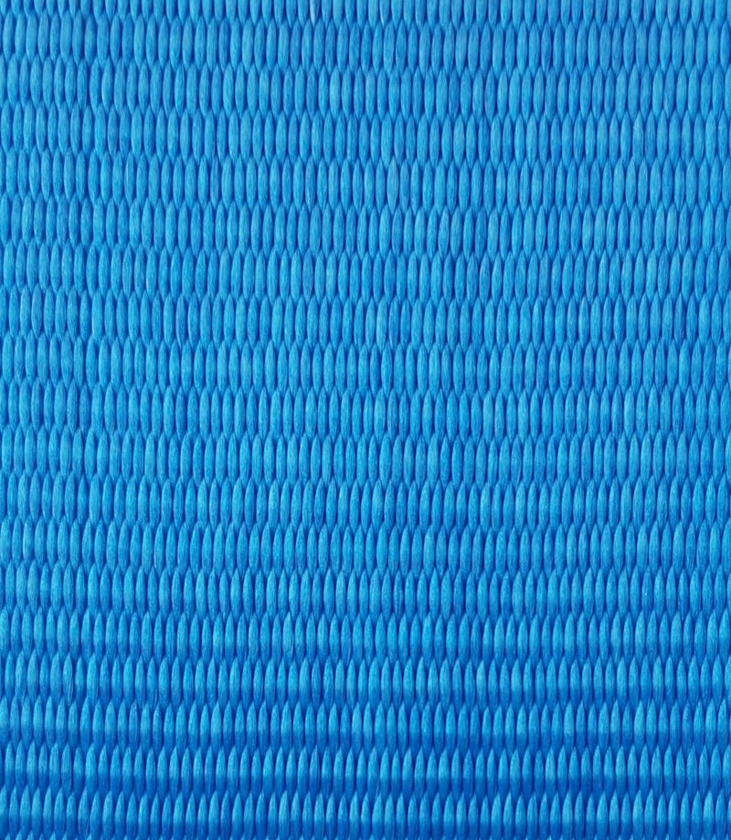 Load image into Gallery viewer, 2&quot; Interior Van Cam Buckle E-Track Strap w/ Spring E Fittings | LENGHTH OPTIONS
