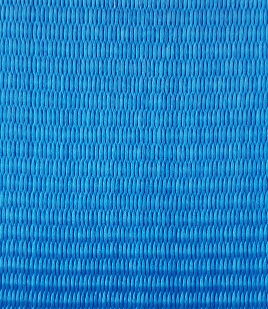 2" Interior Van Cam Buckle E-Track Strap w/ Spring E Fittings | LENGHTH OPTIONS