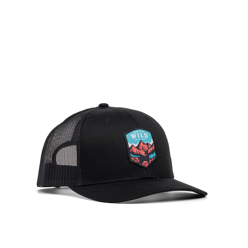 Load image into Gallery viewer, Born To Be Wild Patch Hat
