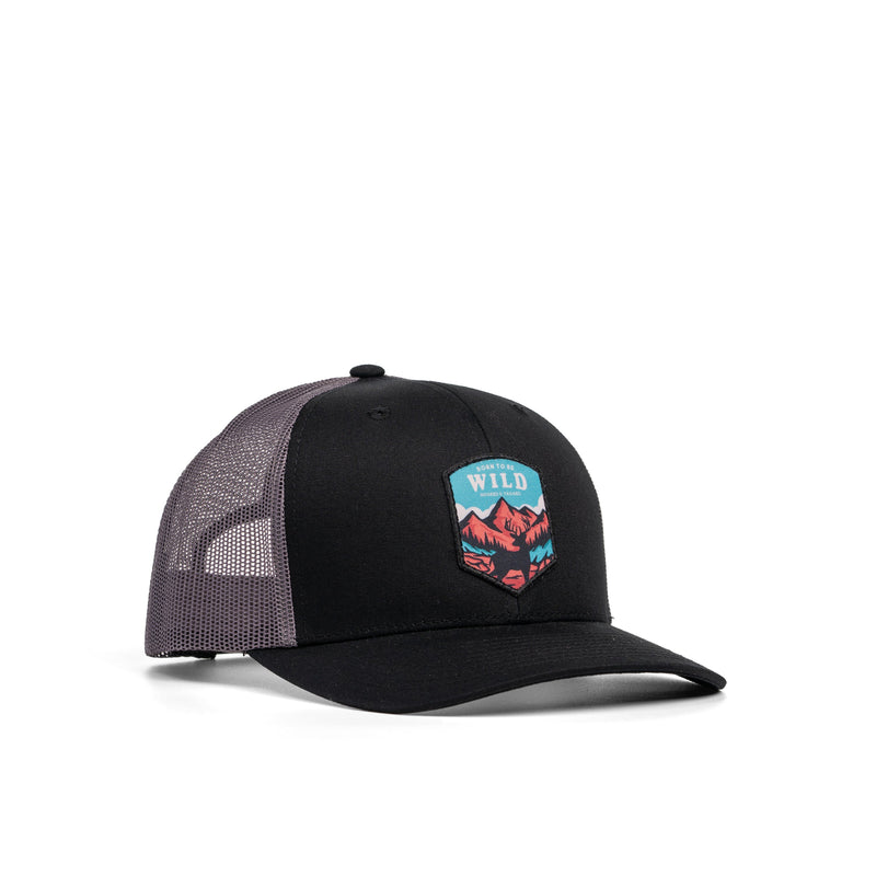 Load image into Gallery viewer, Born To Be Wild Patch Hat

