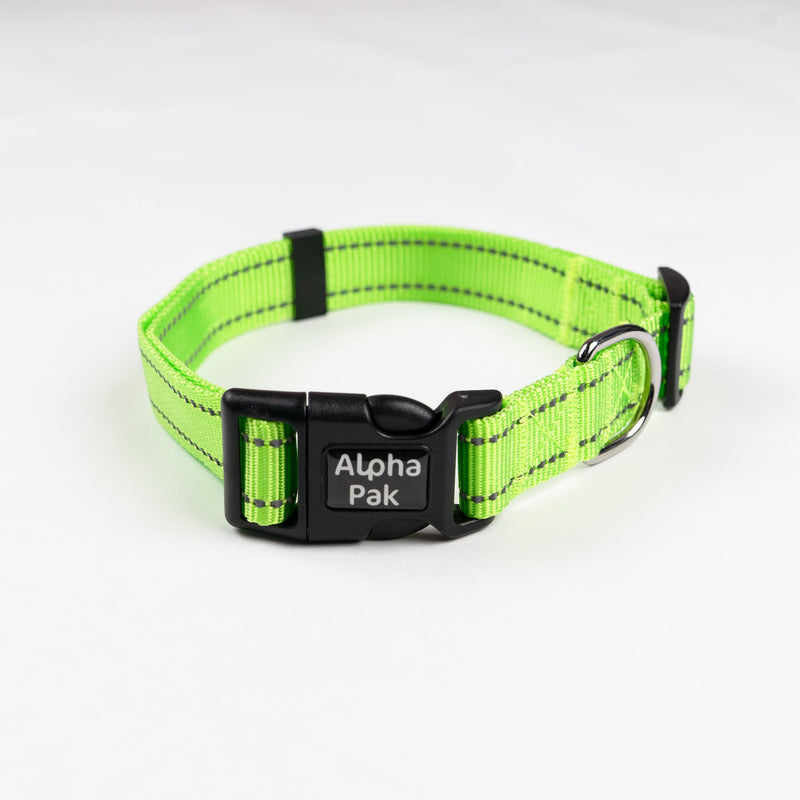 Load image into Gallery viewer, Everyday Adventure Dog Collar
