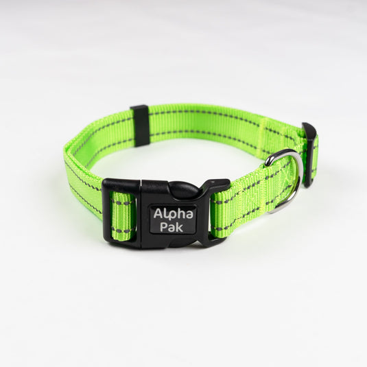Everyday Adventure Dog Collar