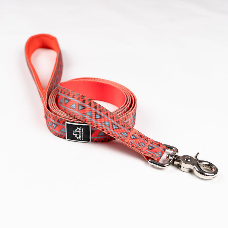 Load image into Gallery viewer, Classic Adventure Flat Dog Leash
