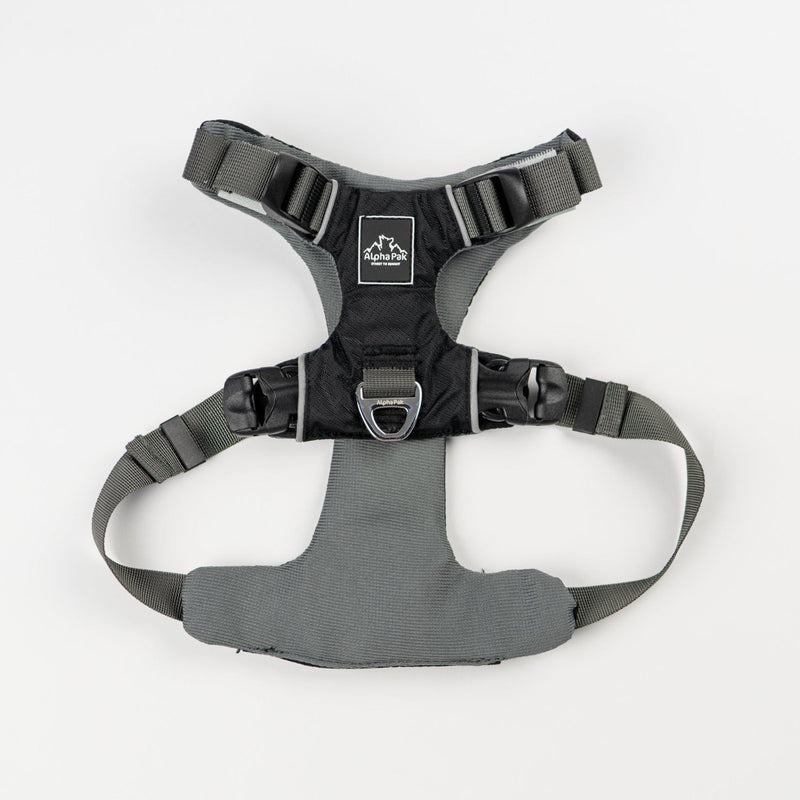 Load image into Gallery viewer, Everyday Adventure Dog Harness

