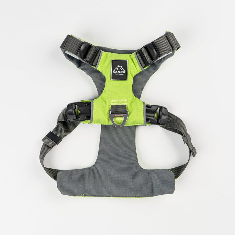 Load image into Gallery viewer, Everyday Adventure Dog Harness
