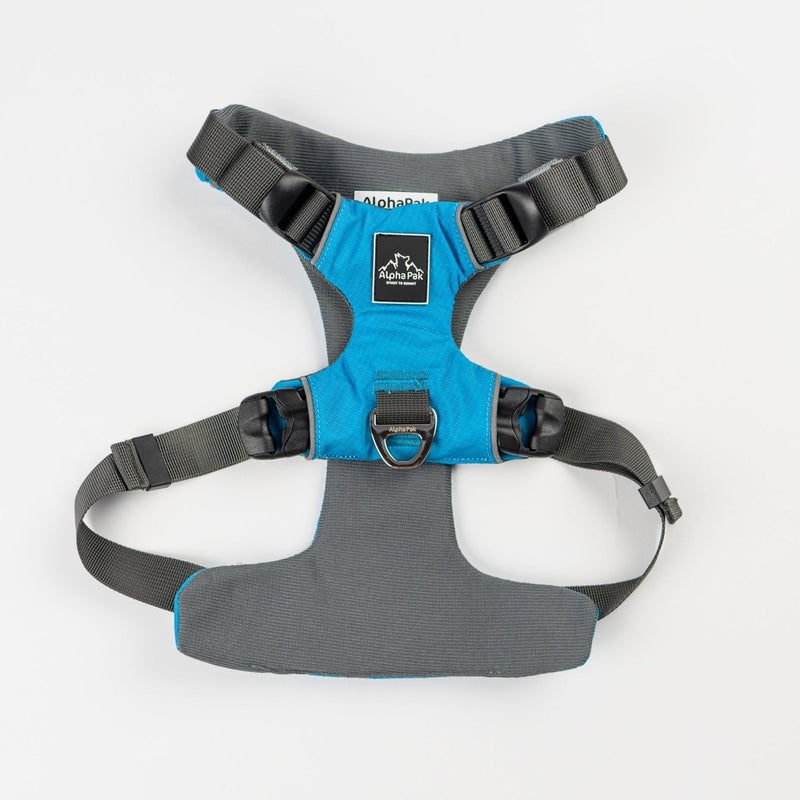 Load image into Gallery viewer, Everyday Adventure Dog Harness
