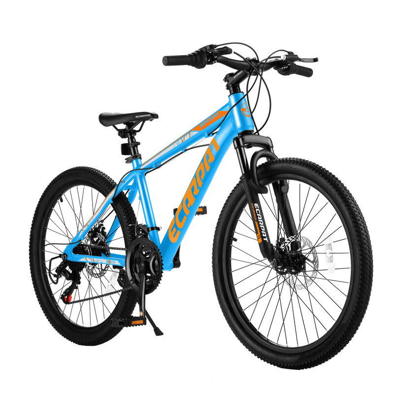 Load image into Gallery viewer, Ecarpat Rycheer - 26“×2.10”
