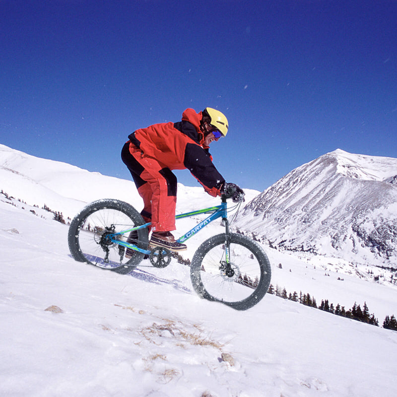 Load image into Gallery viewer, Hercules - 24&quot; × 3&quot;
