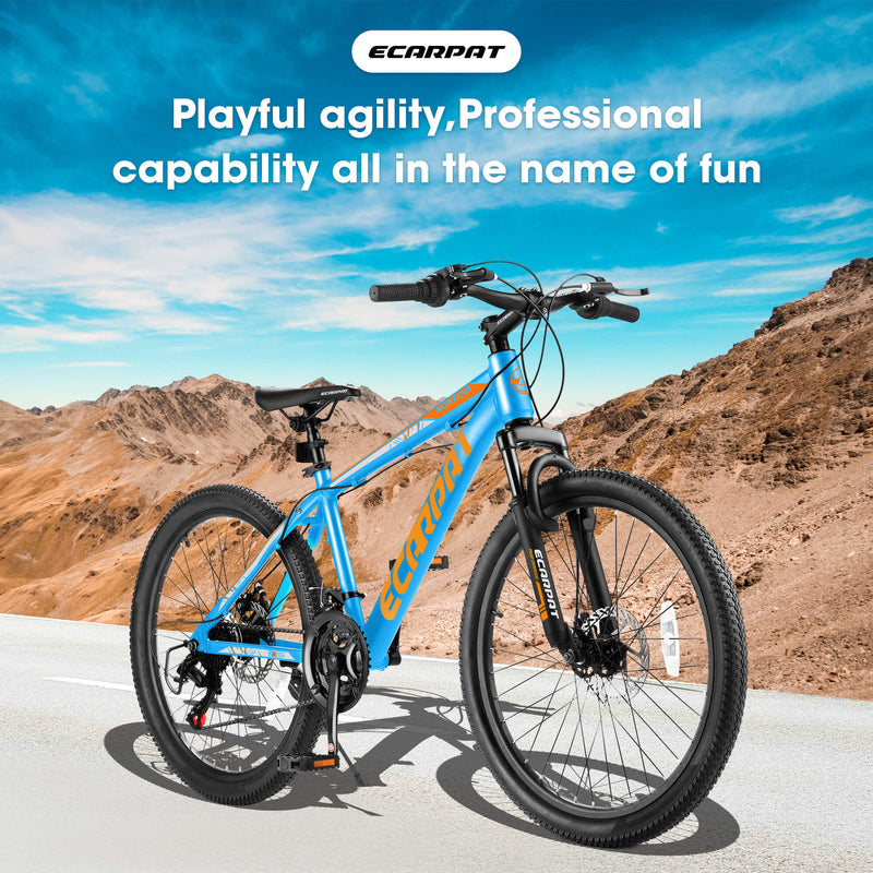 Load image into Gallery viewer, Ecarpat Rycheer - 26“×2.10”
