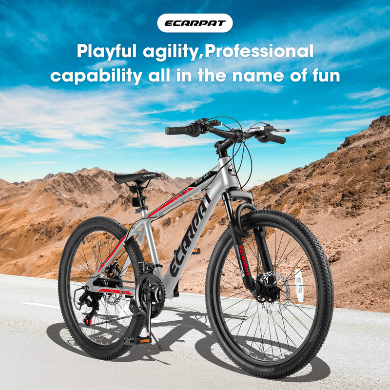 Load image into Gallery viewer, Ecarpat Rycheer - 26“×2.10”
