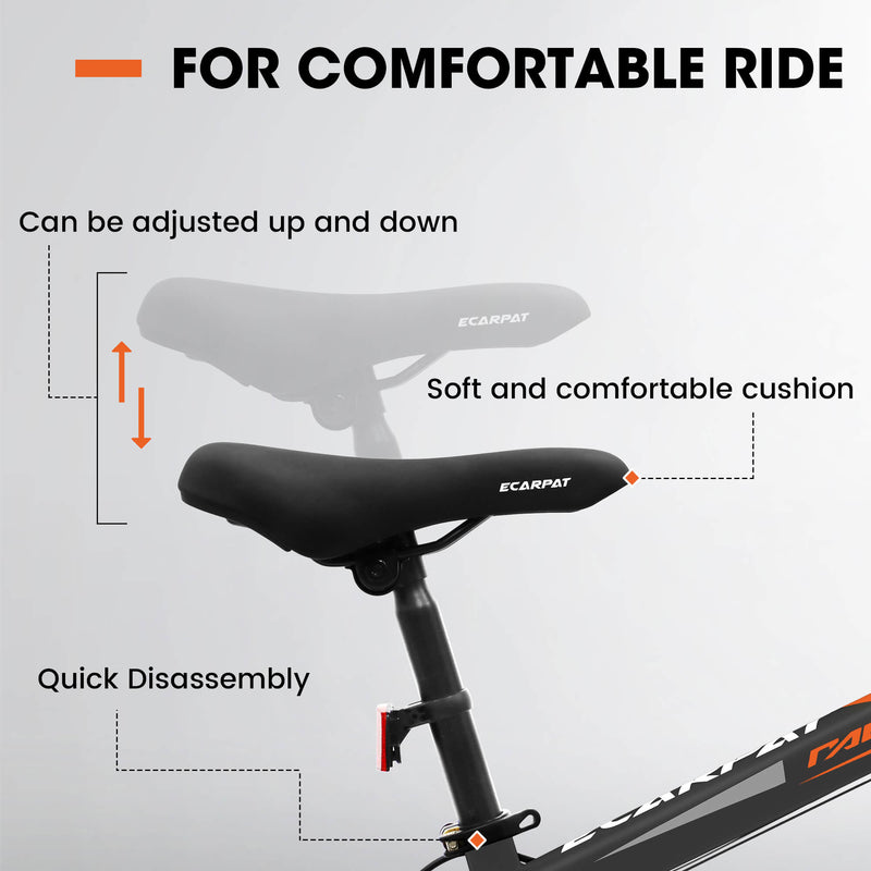 Load image into Gallery viewer, Ecarpat Arena - 20&quot;×4&quot;
