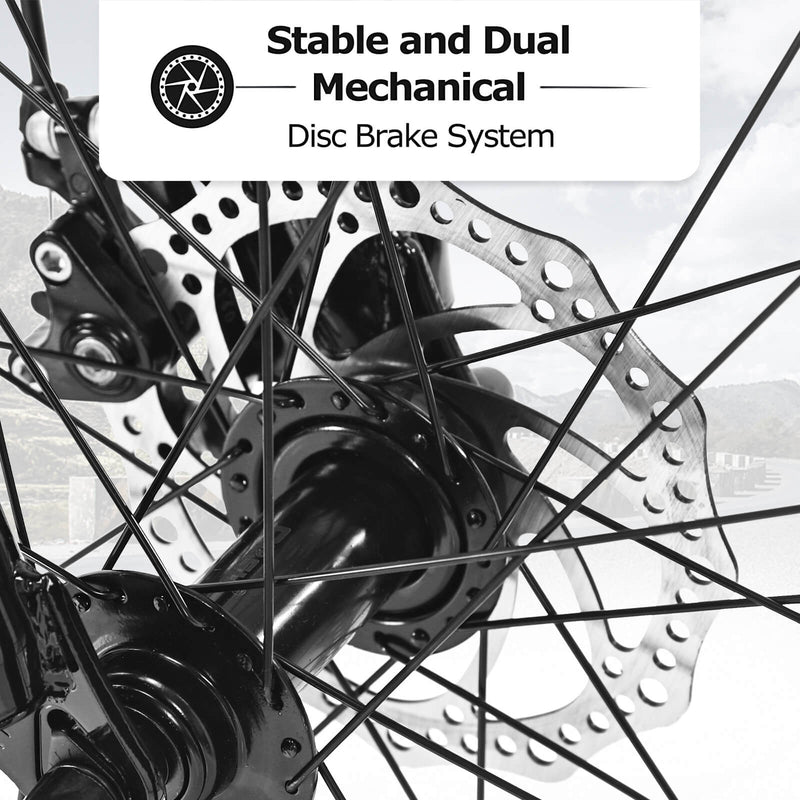 Load image into Gallery viewer, Ecarpat Elecony - 26&quot;×4&quot;
