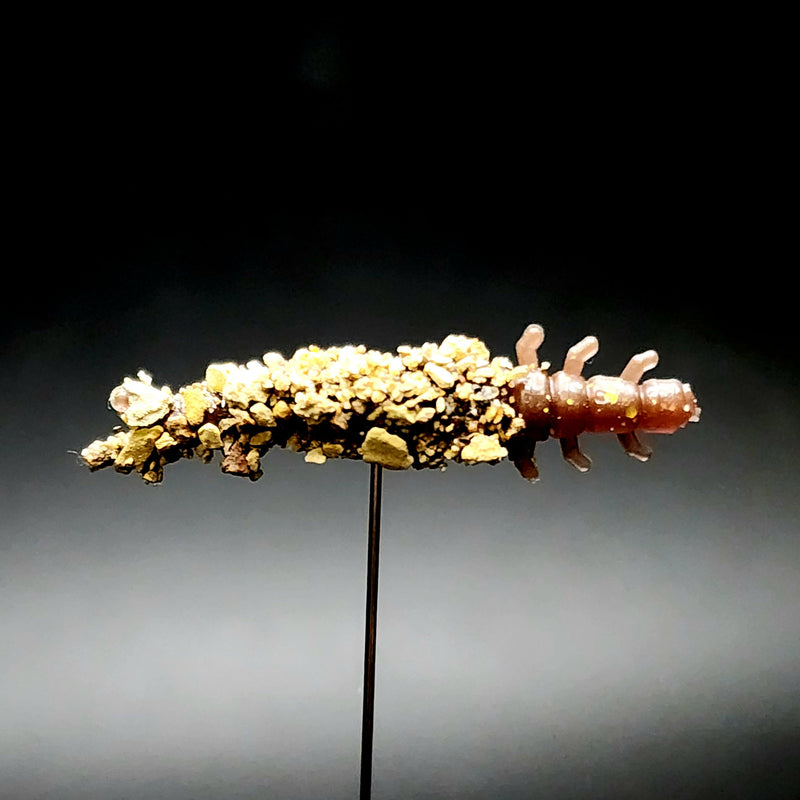 Load image into Gallery viewer, Jar of 1.3&quot; Caddis Fly Larvae &quot;Stream Weaver&quot;
