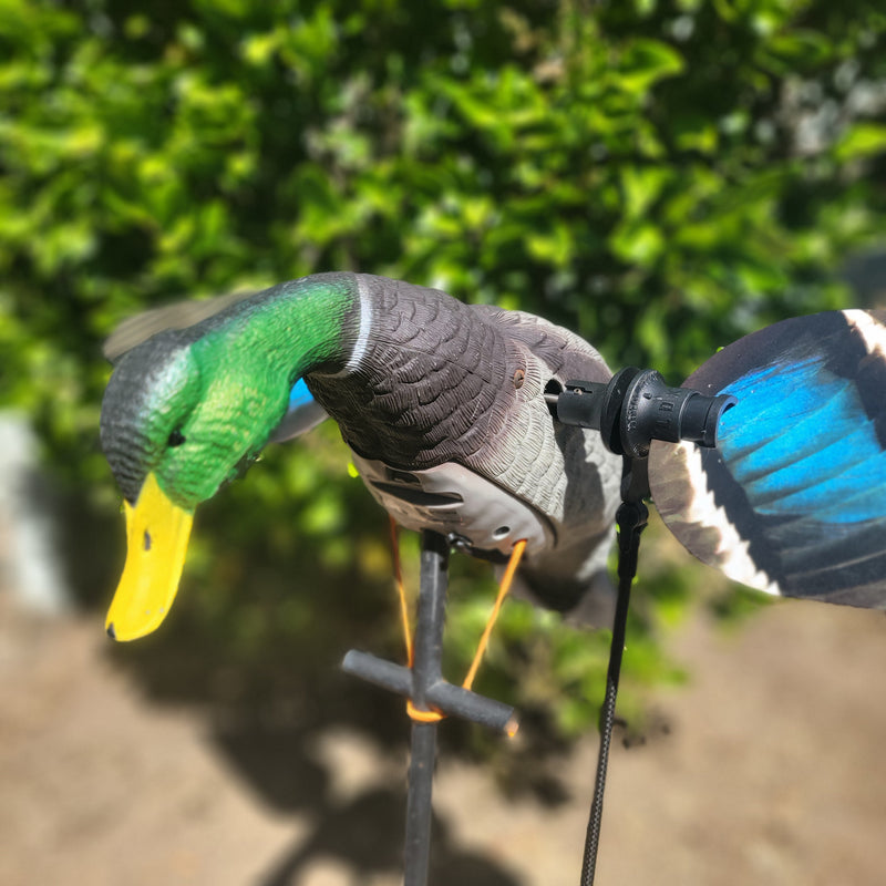 Load image into Gallery viewer, Animator V2 for Super Lucky Duck

