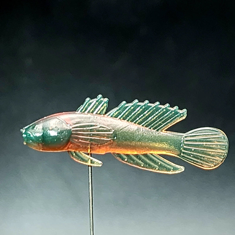 Load image into Gallery viewer, Jar of 1.5&quot; Darter &quot;The Stream Dancer&quot;
