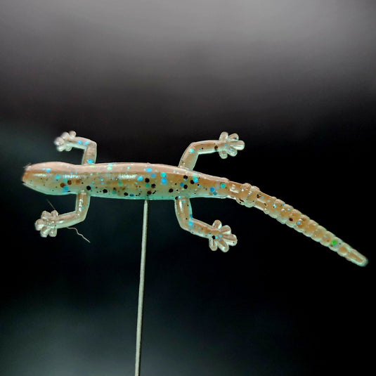 Jar of 2" Salamander "The Moss Dweller"