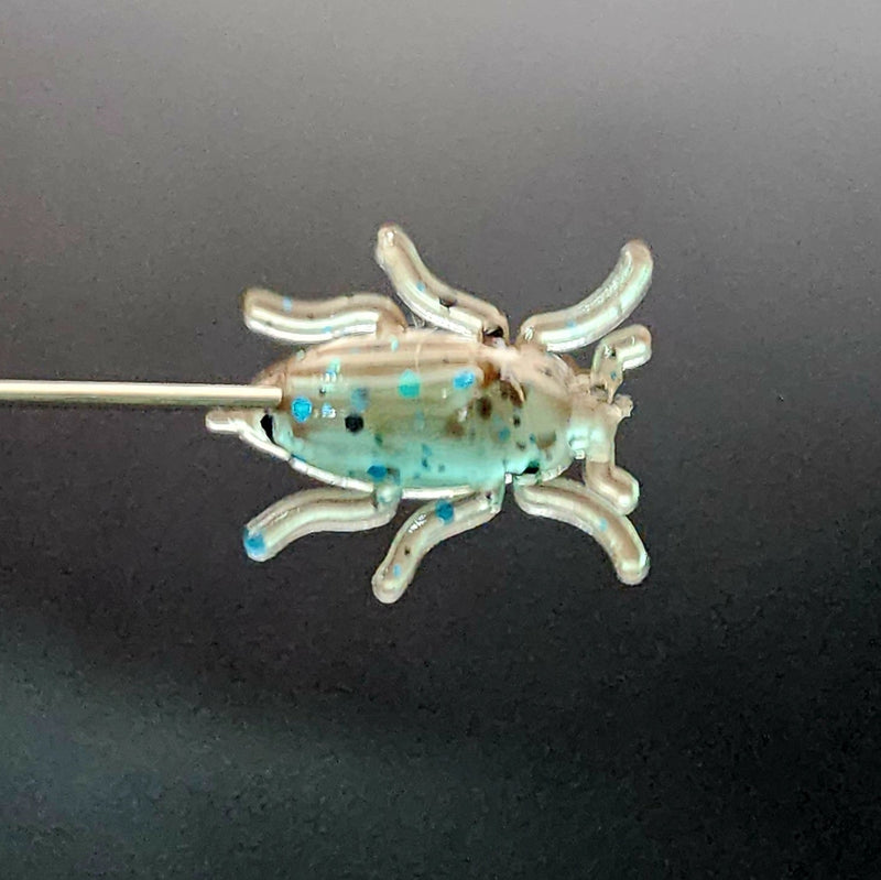 Load image into Gallery viewer, Jar of 0.5&quot; Half Inch Micro Beetle &quot;Toe Biter&quot;
