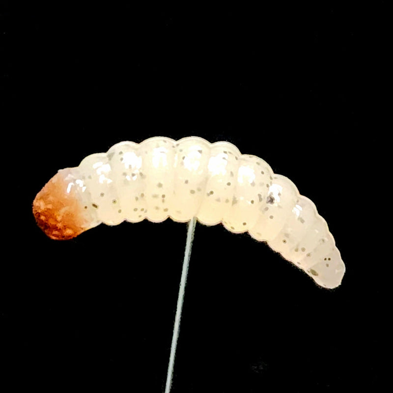 Load image into Gallery viewer, Jar of 1&quot; Waxworm &quot;The Tater Bug&quot;
