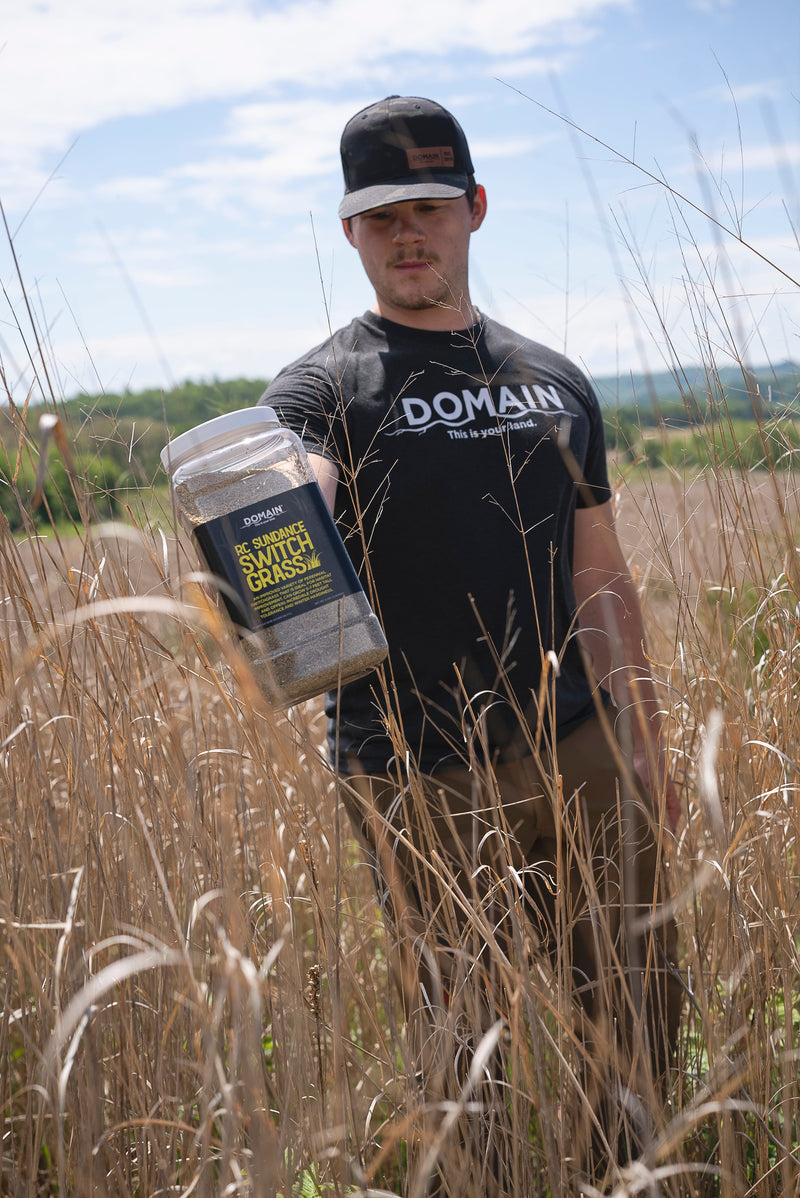 Load image into Gallery viewer, RC Sundance Switchgrass Habitat Seed
