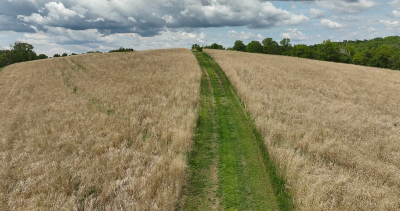 Load image into Gallery viewer, RC Big Rock Switchgrass Food Plot Seed
