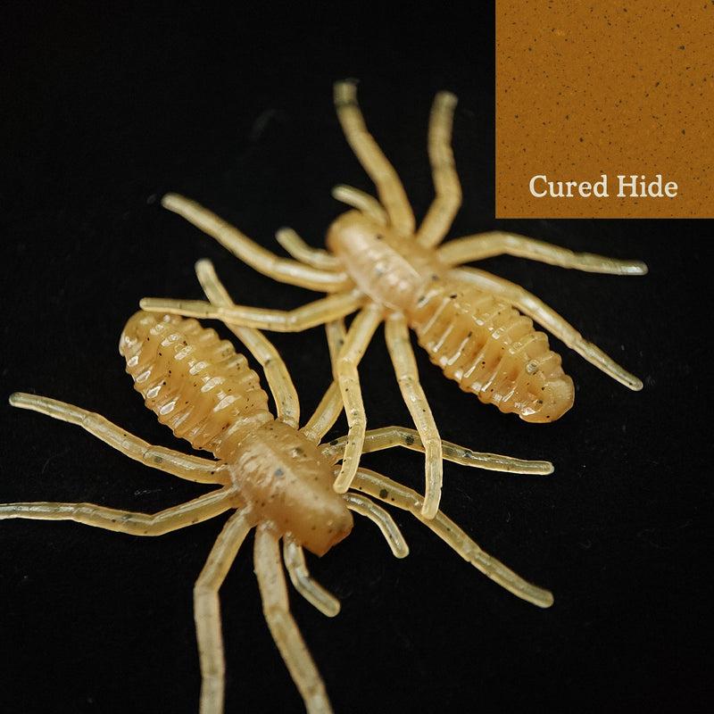 Load image into Gallery viewer, Jar of 1&quot; Micro Spider Bait &quot;The Writing Spider&quot;
