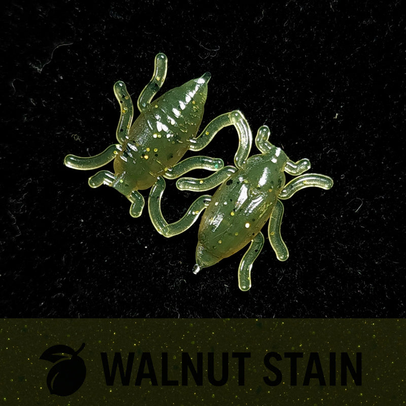 Load image into Gallery viewer, Jar of 0.5&quot; Half Inch Micro Beetle &quot;Toe Biter&quot;
