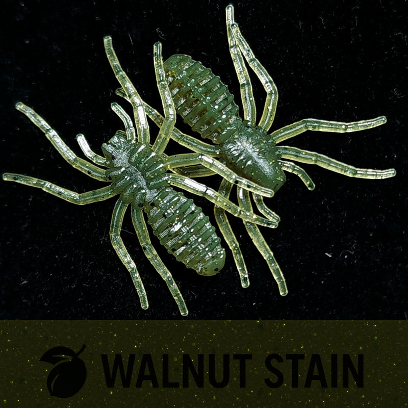 Load image into Gallery viewer, Jar of 1&quot; Micro Spider Bait &quot;The Writing Spider&quot;
